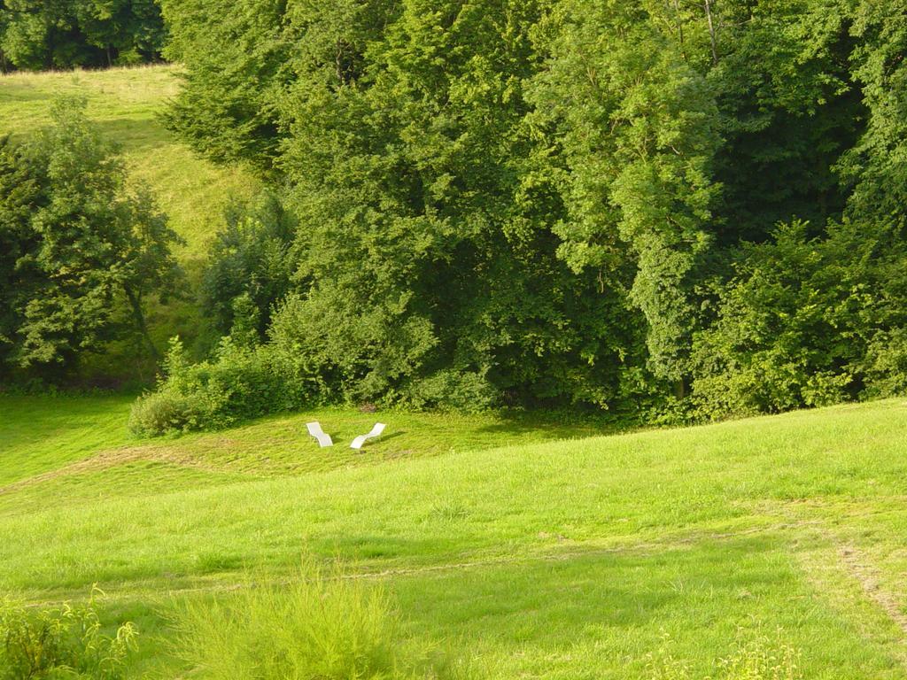 Saint-Genix-sur-Guiers La Parenthese B&B 외부 사진